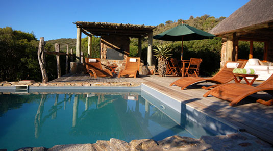 Amakhala Game Reserve - HillsNek Safaris